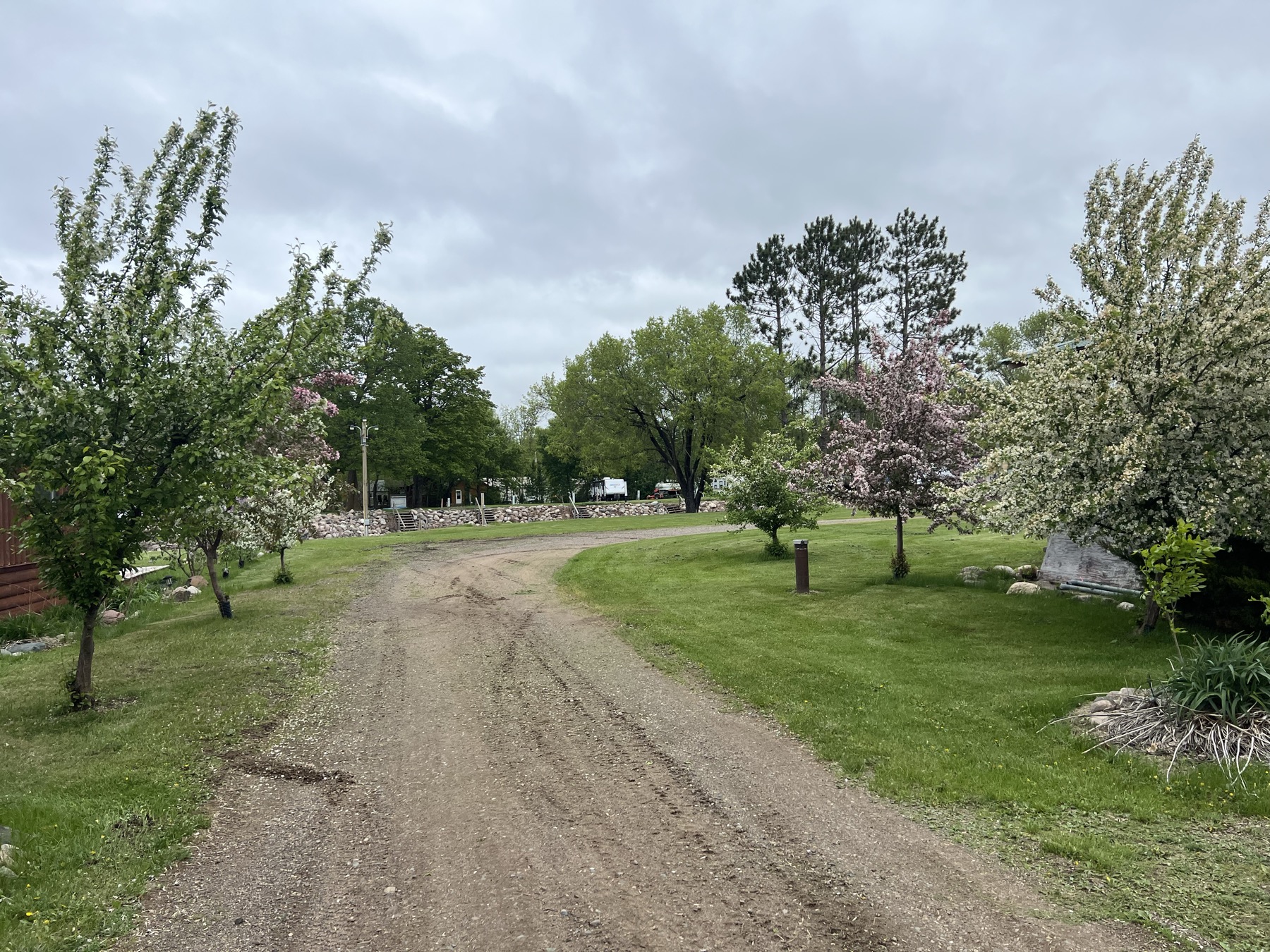 Wilderness Beach Resort resort grounds and RV area view 1