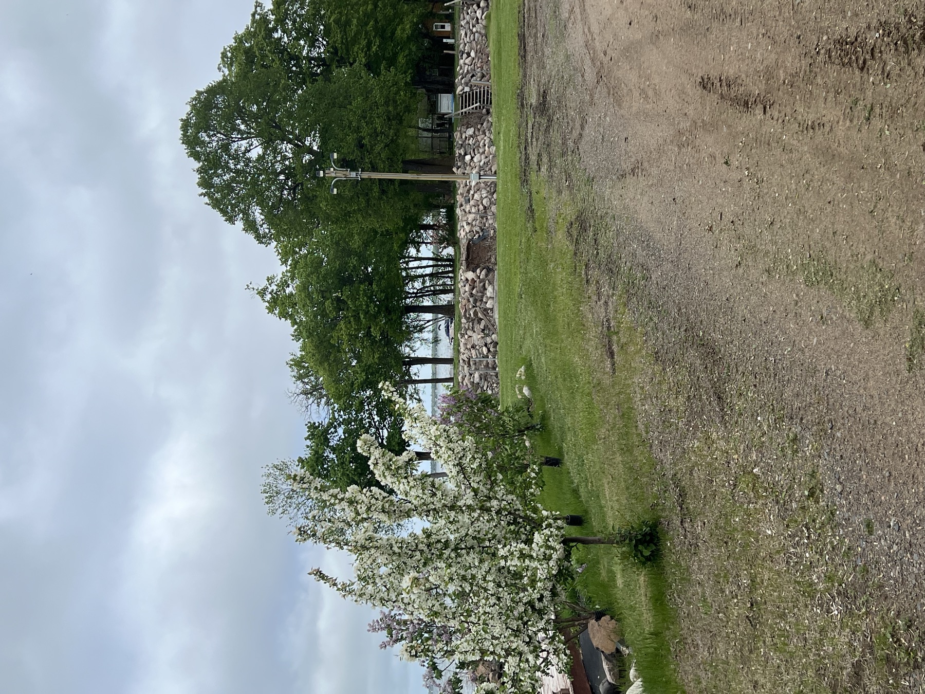 Wilderness Beach Resort resort grounds and RV area view 6