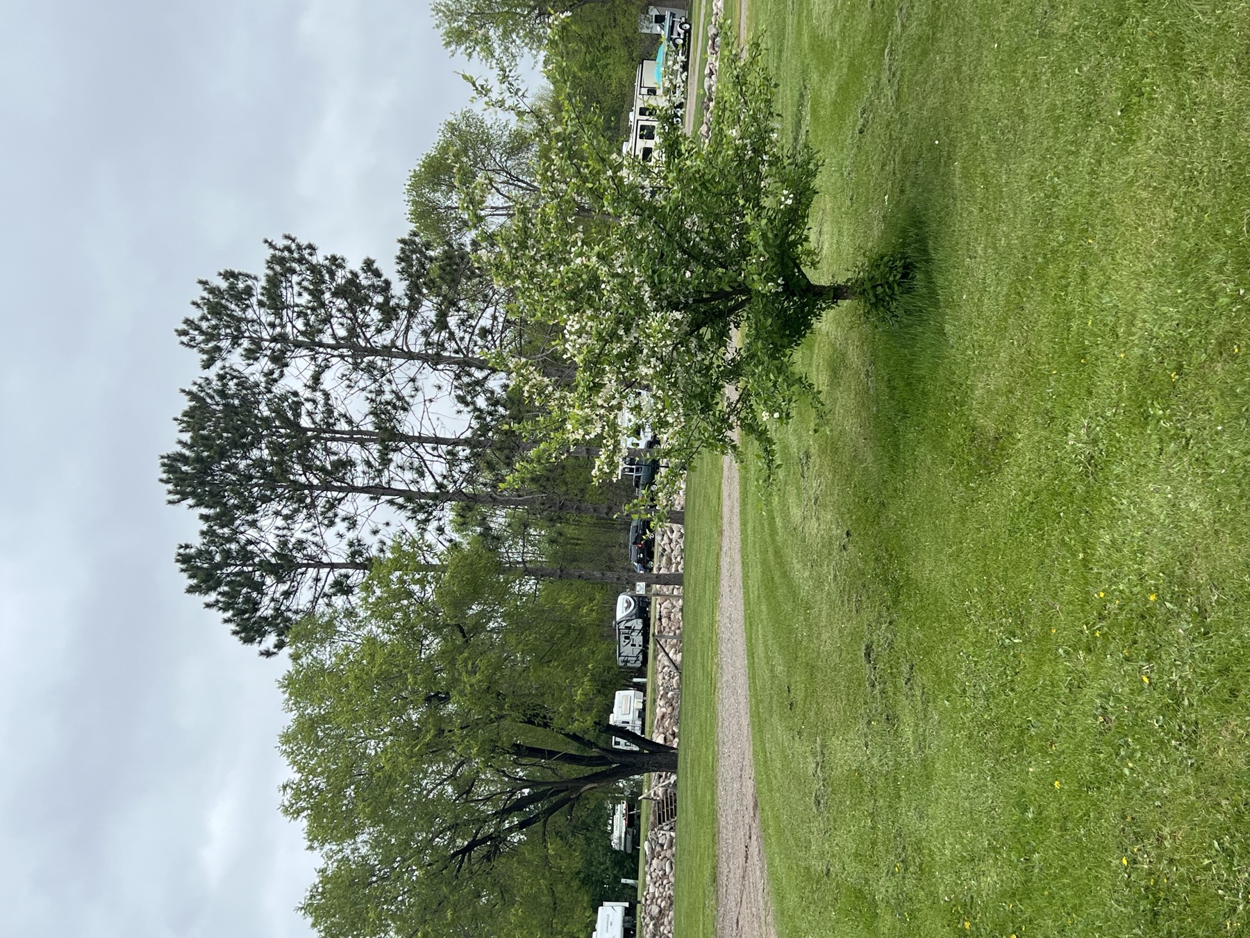 Wilderness Beach Resort resort grounds and RV area view 7