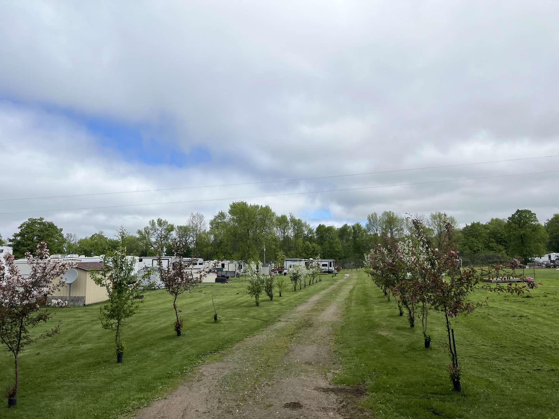 Wilderness Beach Resort resort grounds and RV area view 15